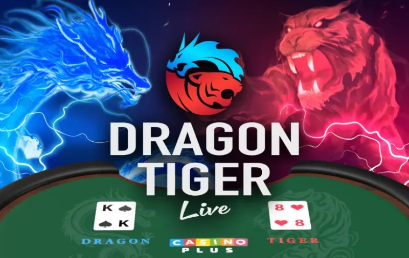 dragon tiger